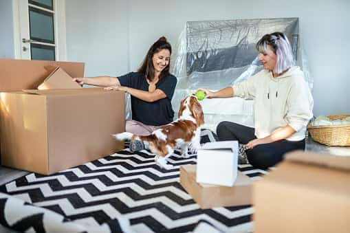 how much is renters insurance with a dog