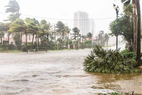 Hurricane insurance in Florida: A complete guide